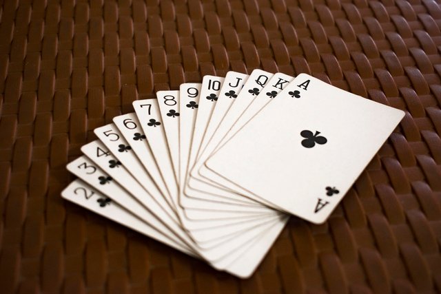 Spider Solitaire as a Daily Mental Discipline